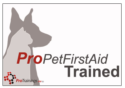 The Pet Academy - Pet Courses - Pet CPD - Pet First Aid